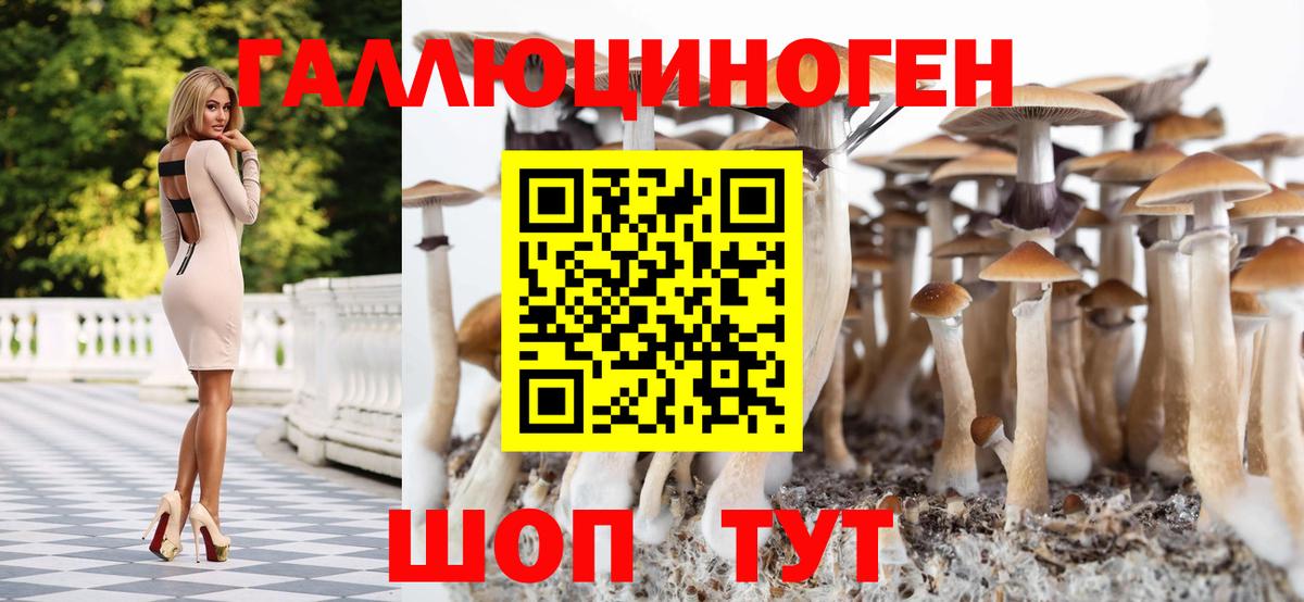 Псилоцибиновые грибы Cubensis  Вход с VPN  Сертолово  цены наркотик  Псилоцибиновые грибы MAGIC MUSHROOMS 