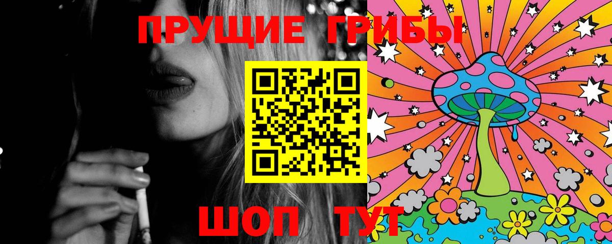 Галлюциногенные грибы Psilocybe Сертолово
